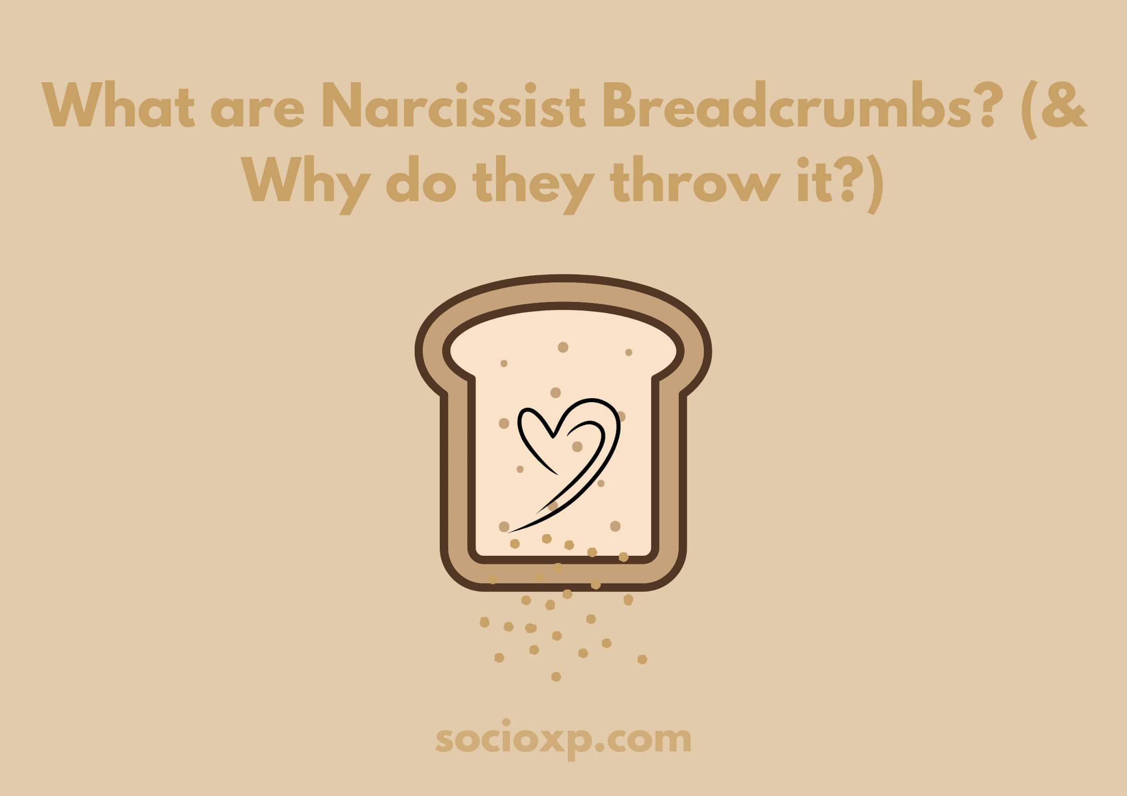 What are Narcissist Breadcrumbs? (& Why do they throw it?)